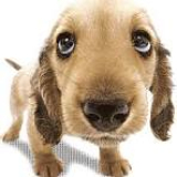 Obrazek dla news_1953